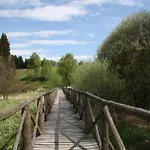 Mit Kamin In Thale-friedrichsbrunn Holiday home Friedrichsbrunn