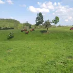 Ferienhaus Mit Kamin In Thale-Friedrichsbrunn Friedrichsbrunn