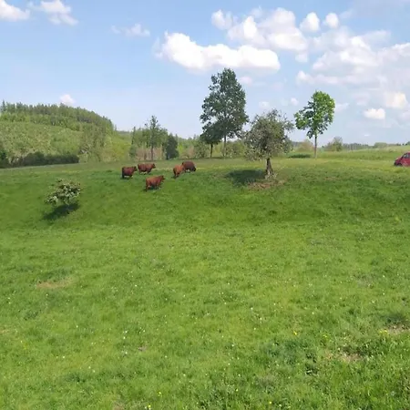 Mit Kamin In Thale-friedrichsbrunn Friedrichsbrunn