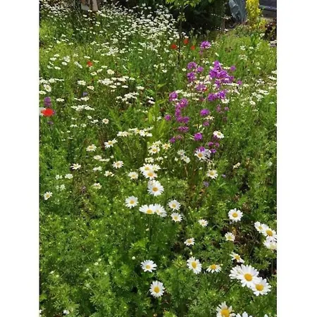 Mit Kamin In Thale-friedrichsbrunn Holiday home Friedrichsbrunn