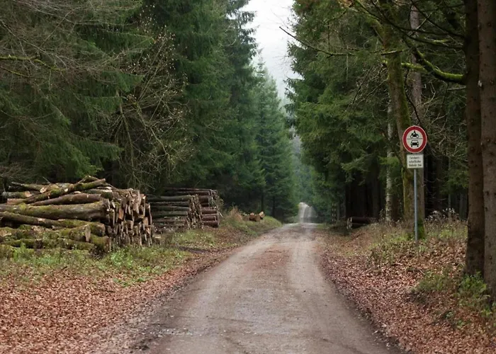 Ferienhaus Mit Kamin In Thale-Friedrichsbrunn 弗雷德里希斯布鲁恩