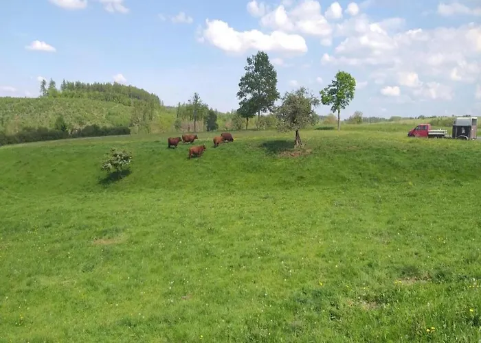 Mit Kamin In Thale-friedrichsbrunn Friedrichsbrunn