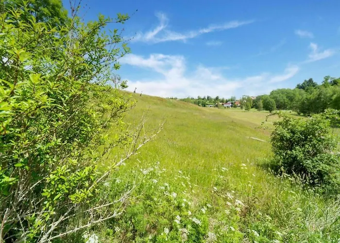 Holiday home Mit Kamin In Thale-friedrichsbrunn *